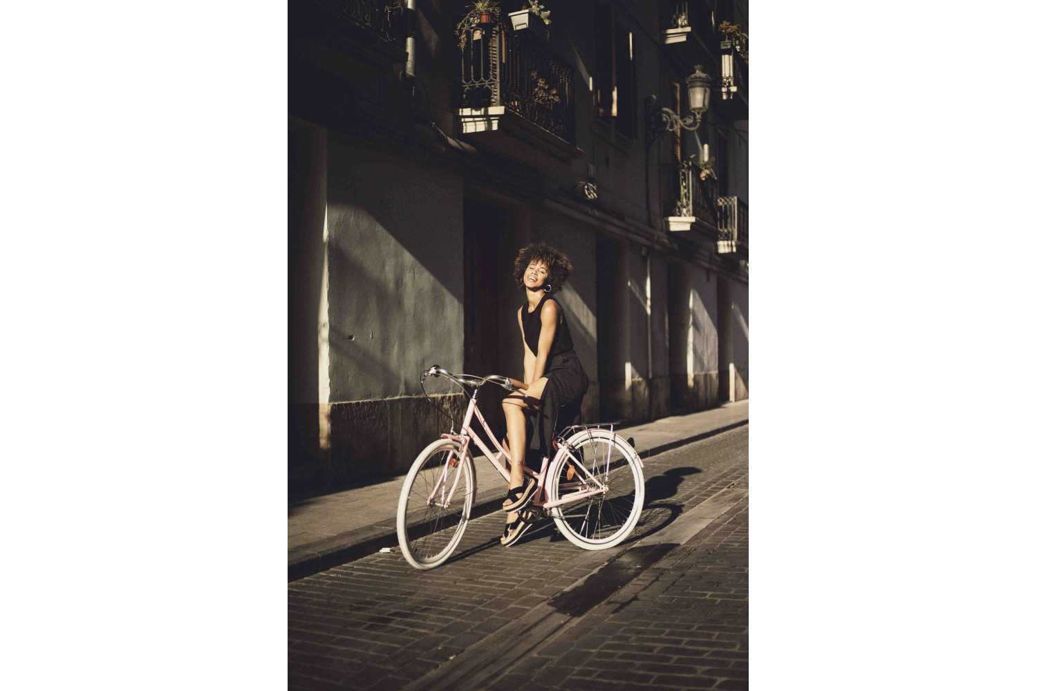 Hollandrad Damen Fahrrad