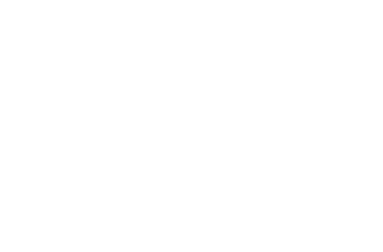 Logo Fixie light