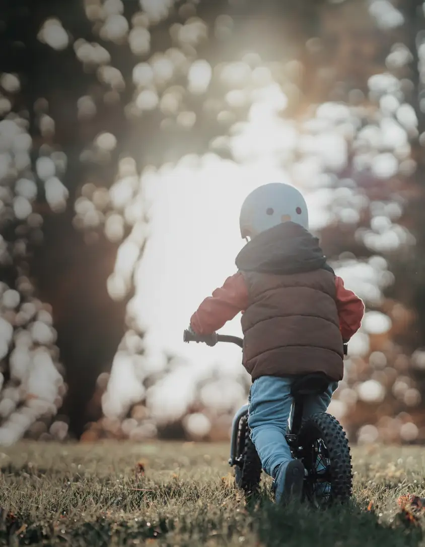 Bike for mini FabricBike