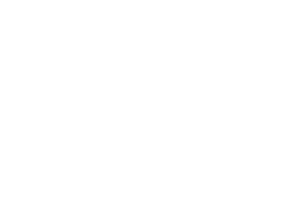 FabricBike MINI